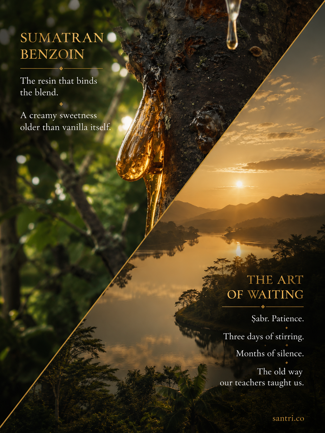 What Patience Left Behind (ما تركه الصب)