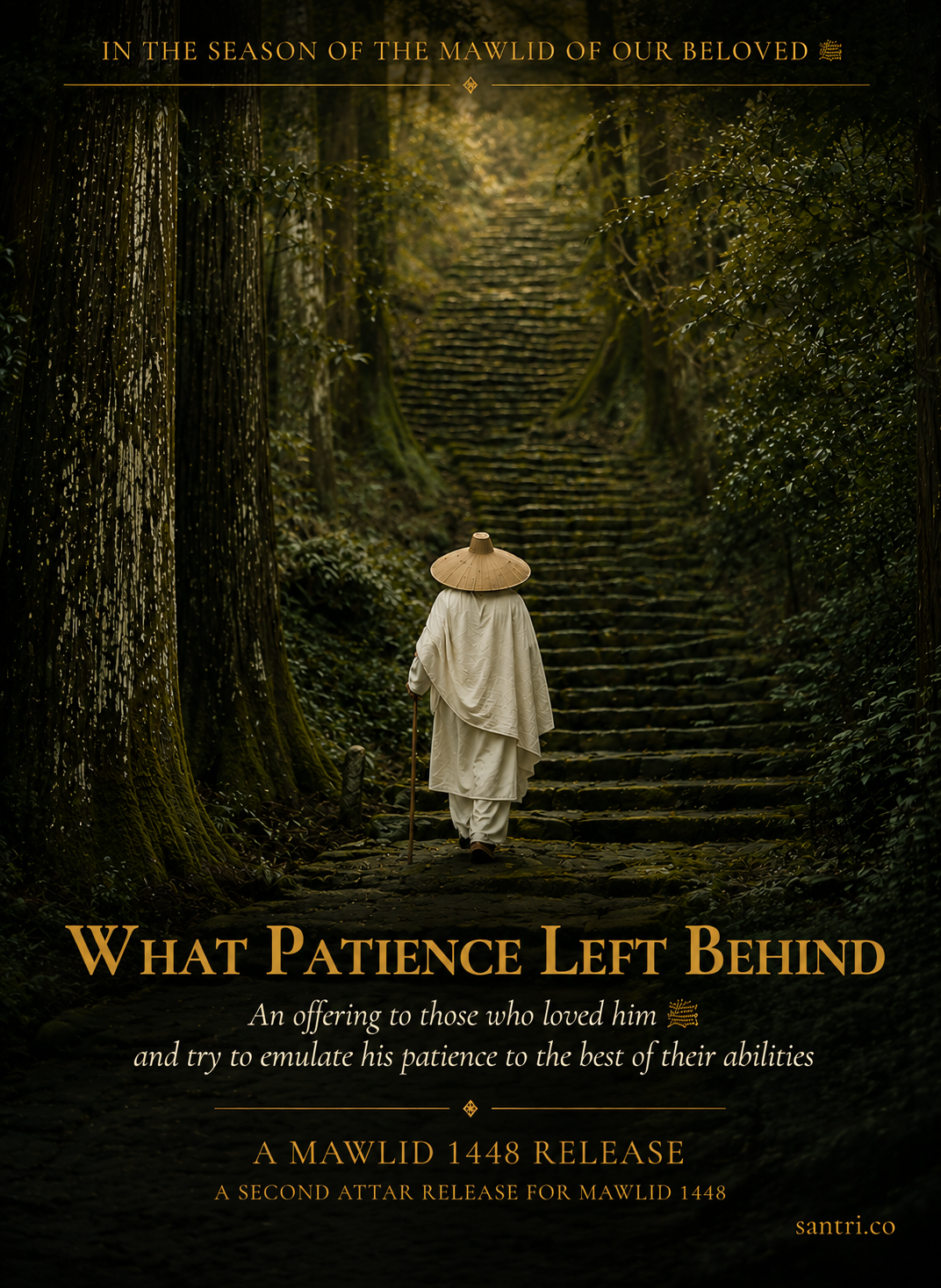 What Patience Left Behind (ما تركه الصب)