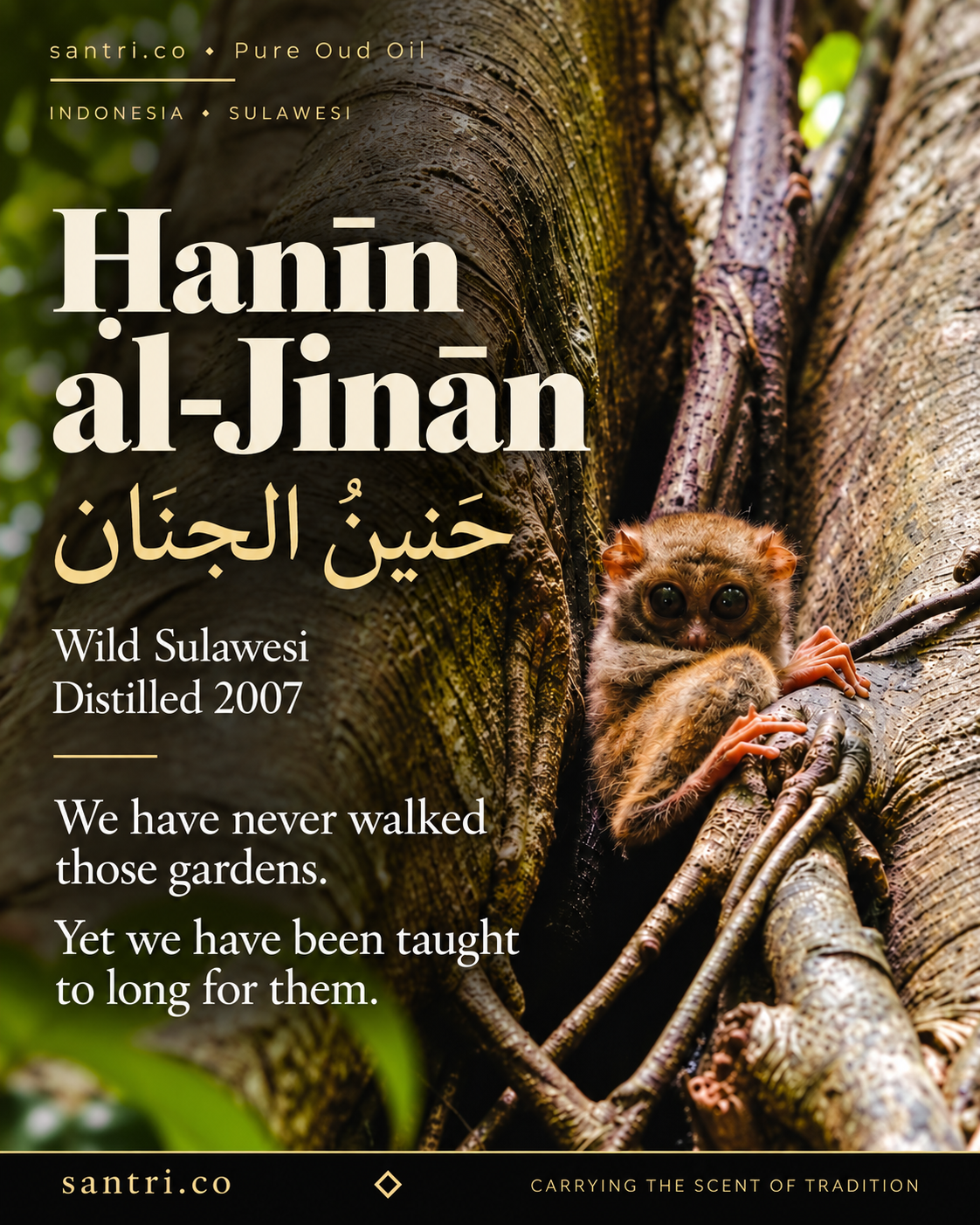Ḥanīn al-Jinān (حَنِينُ الجِنَان)